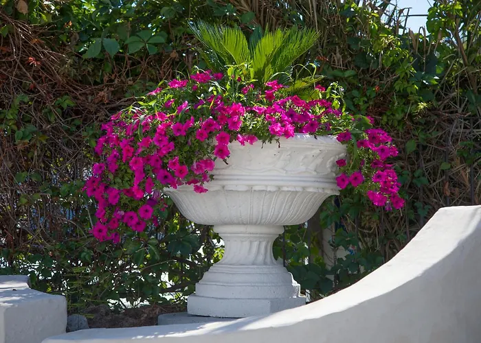 Assinos Palace ホテル 4*