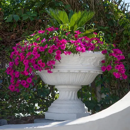 Assinos Palace Отель 4*